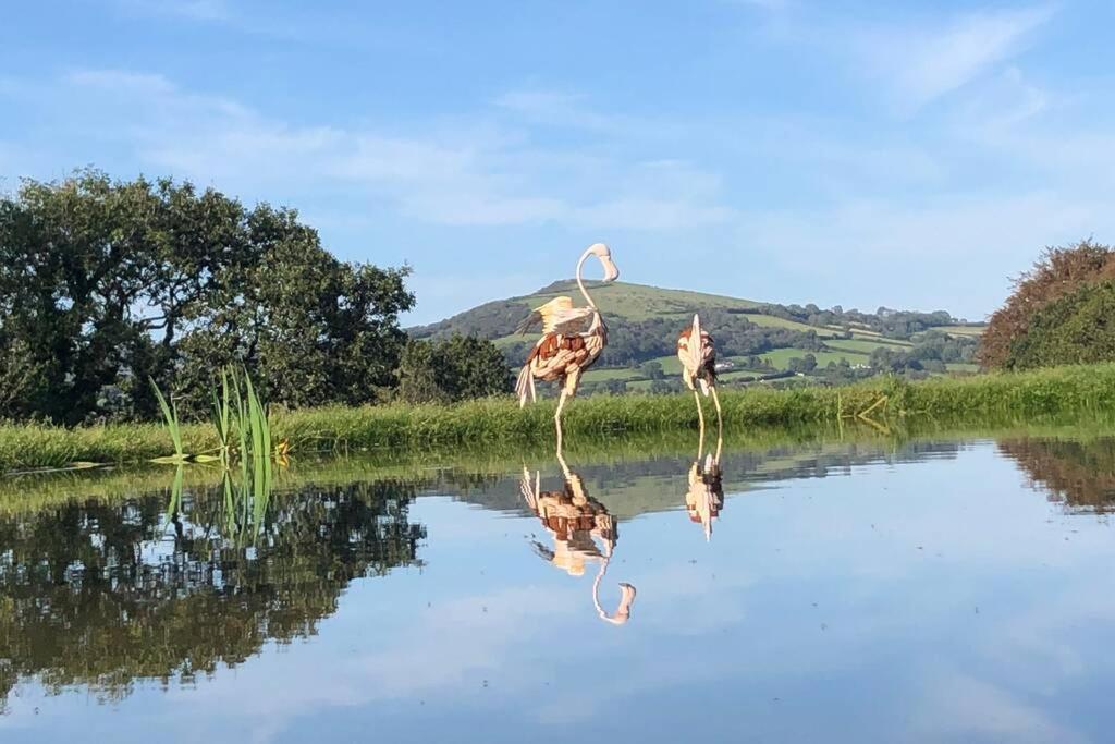 Stags View,Unique Eco Cabin, Dartmoor Views South Brent Bagian luar foto